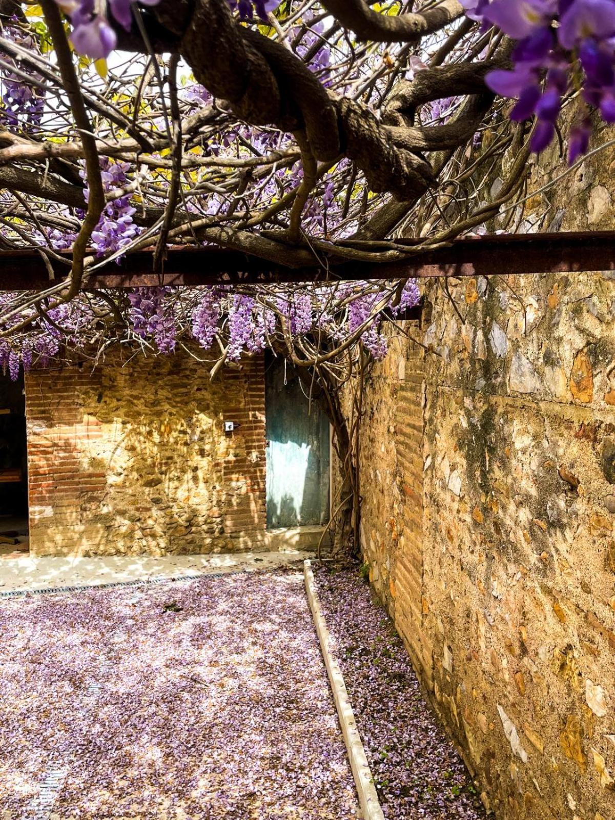 Gite De Charme Du Domaine Pagnon Guillemette Torreilles Exteriér fotografie